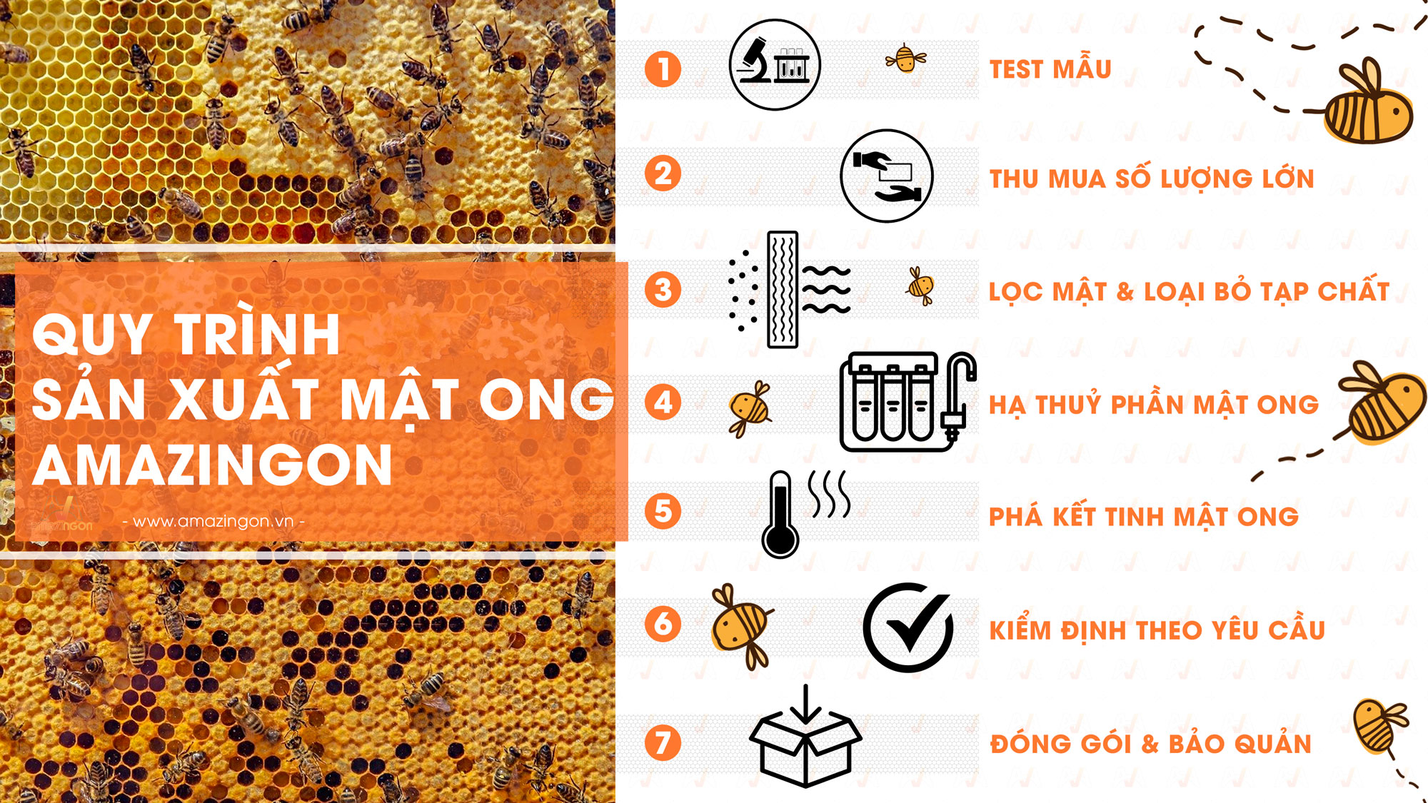mật ong thiên nhiên nguyên chất Amazingon