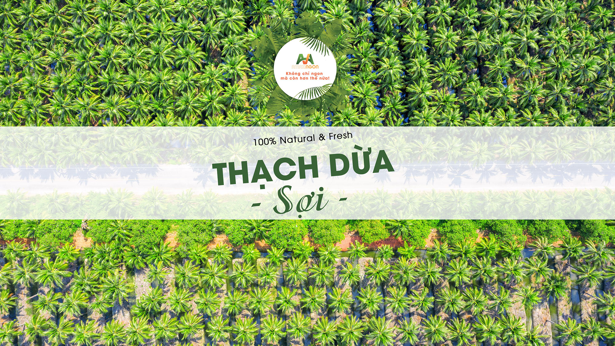 thạch dừa sợi AMAZINgon