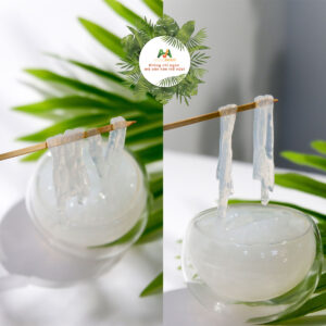 thạch dừa sợi AMAZINgon